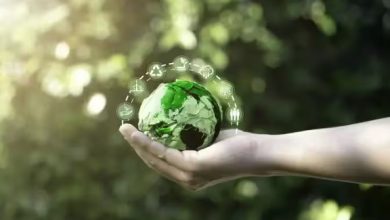 La production durable transforme les habitudes de consommation La production durable transforme les habitudes de consommation