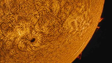 L’image du jour : la surface du Soleil dévoilée avec un niveau de détail inédit