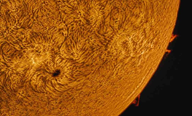 L’image du jour : la surface du Soleil dévoilée avec un niveau de détail inédit L’image du jour : la surface du Soleil dévoilée avec un niveau de détail inédit