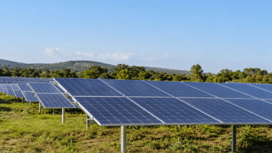 Appel d’offres solaire en France : une participation record pour la 9e session consacrée aux centrales au sol