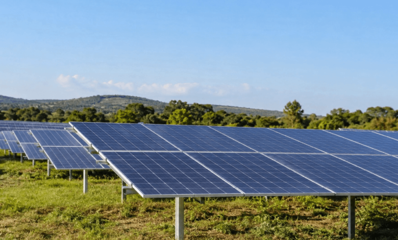 Appel d’offres solaire en France : une participation record pour la 9e session consacrée aux centrales au sol Appel d’offres solaire en France : une participation record pour la 9e session consacrée aux centrales au sol